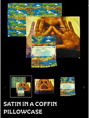 Modest Mouse "Satin in a Coffin" Pillowcase Offical Merchandise NIP